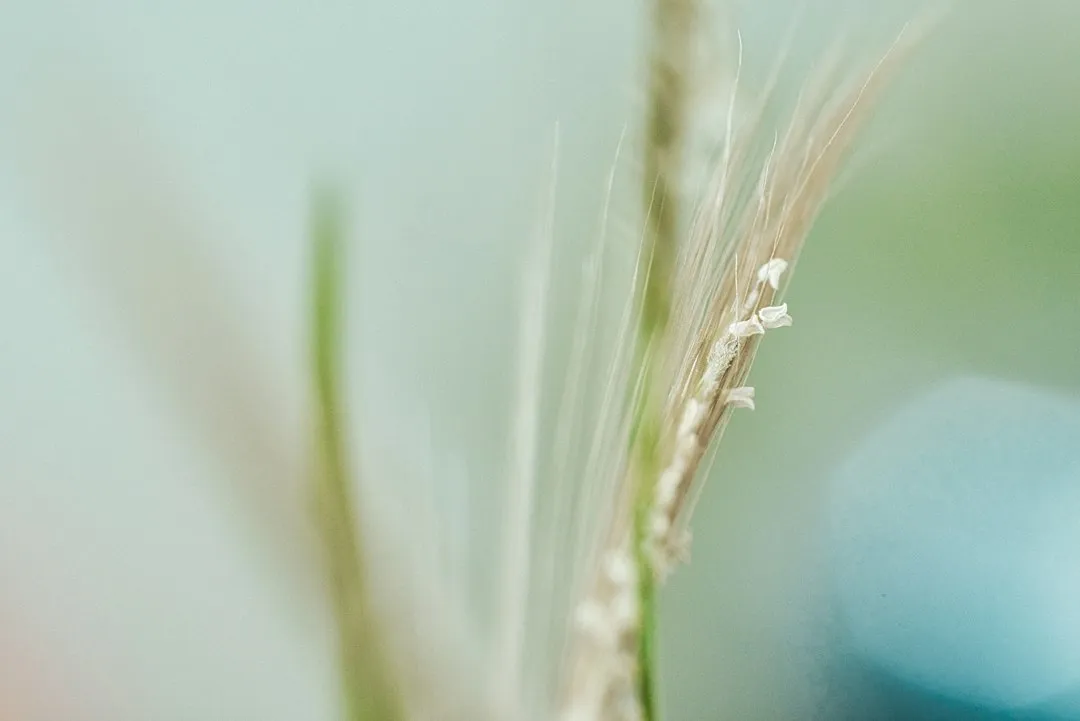 企业品牌VI手册设计中的视觉规范与一致性构建策略解析